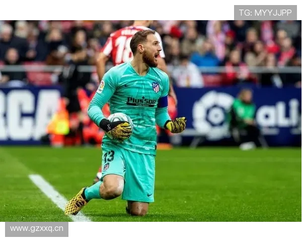 奥布拉克是否斯洛文尼亚国家队历史最佳门将 奥布拉克是否斯洛文尼亚国家队历史最佳门将